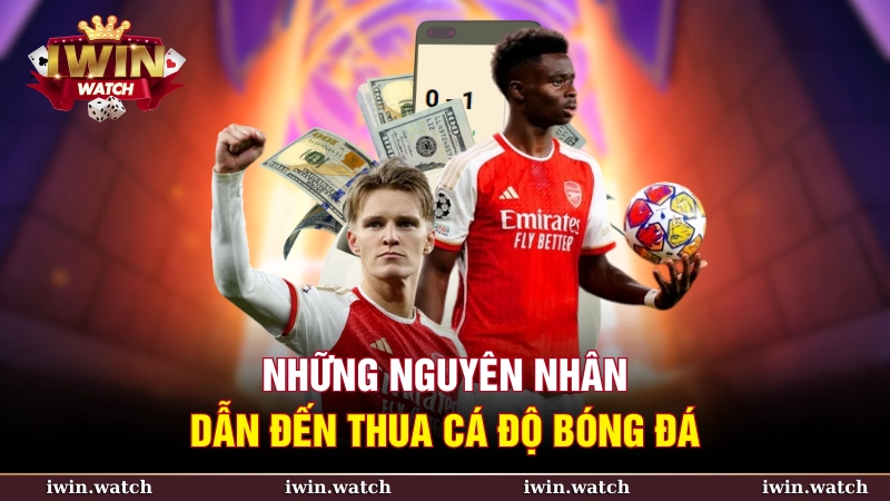 Có nhiều nguyên nhân dẫn đến thua cá độ bóng đá